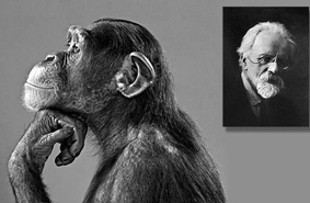 Биолог Иванов: на должности творца. Как в СССР пытались создать гибрид человека и обезьяны