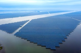 Впечатляющие масштабы. Рыбная ферма с солнечными батареями начала вырабатывать электричество