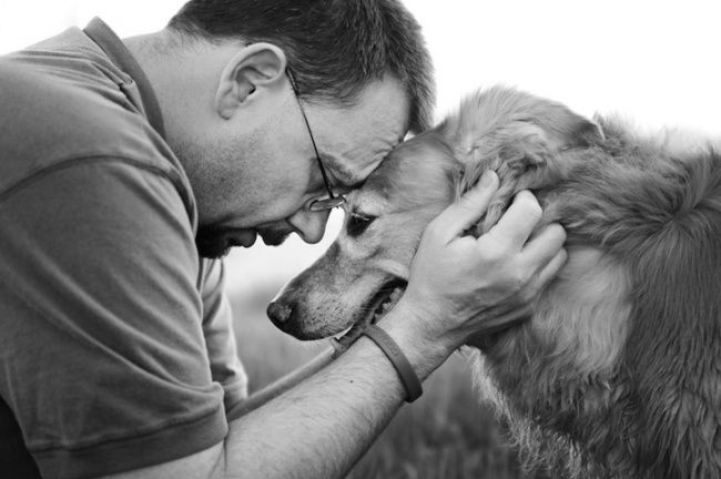 Зрительный контакт собаки и человека порождает связь на эмоциональном и нейробиологическом уровне