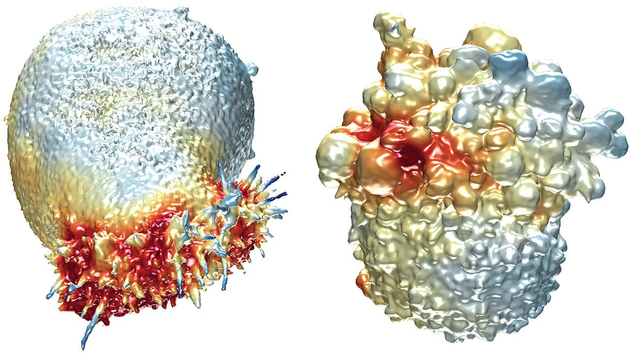 Трехмерное изображение клетки рака легкого (слева) и клетки меланомы (справа), полученное с помощью нового 3D-микроскопа