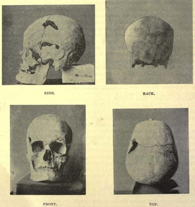 Скорее всего, череп принадлежит правителю Санахту