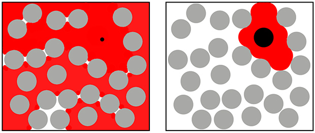 Объем доступного растворителя (красный цвет) для молекул разного размера (черный цвет) в тесном окружении макромолекул (серый цвет)