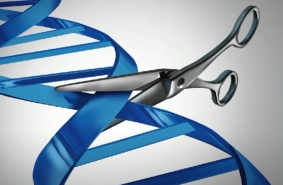 Редактирование генома. Генномодифицированные спортсмены, возможно ли такое? 