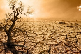 Сколько людей пострадает от глобального потепления