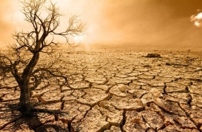 Сколько людей пострадает от глобального потепления