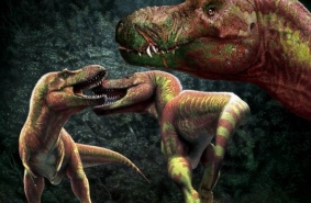 Тираннозавры: бои без правил. Партнер, территория, статус