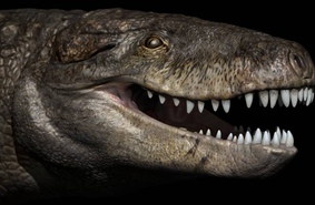 Кошмарный доисторический крокодил терроризировал динозавров на Мадагаскаре