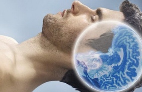 Регуляция сна и центр удовольствия в мозге связаны