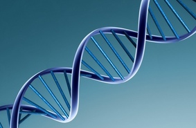 ДНК: расшифровать, нельзя кодировать