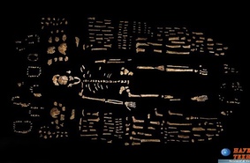 Опубликовано описание нового вида гоминид, получившего название Homo naledi