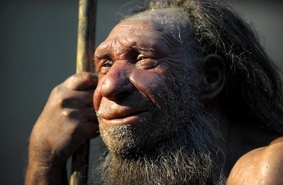 Неандертальцы были так же развиты в технологическом плане, как и Homo Sapiens