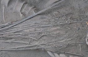 В Китае нашли древний скелет в «саване» из конопли