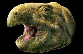 Игуанодонт зубы-ножницы. Во Франции открыт новый вид динозавров