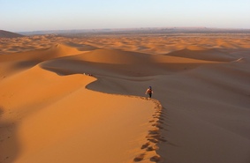 Ученые: в прошлом в Сахаре процветала жизнь