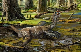 Из грязи в музей: в Китае найден новый вид пернатых динозавров