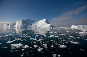 Тревожный звонок из Гренландии:  в мировой океан откололся огромный ледник