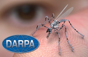 Пехотные роботы-мулы, травоядные роботы, насекомые-киборги и многое другое от DARPA