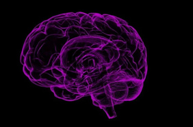 Как наш мозг отделяет важную информацию от фоновой