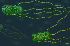 Создан язык для программирования клеток бактерий