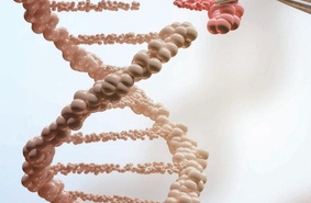 Редактирование генома. От бактерии до человека