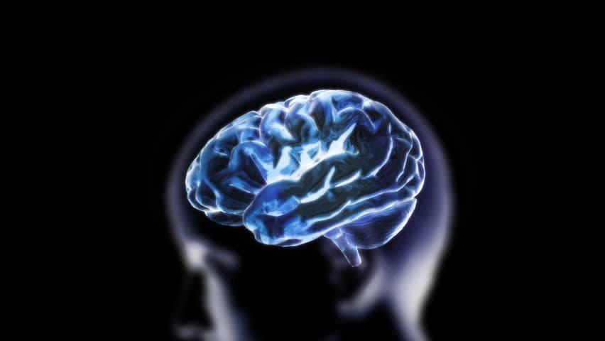 сследователи выяснили, что нет двух одинаковых нейронов даже в мозге двух разных людей