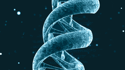 редактирование генома, геном, ДНК, CRISPR, Cas9, гомологичная рекомбинация, генная инженерия, мегануклеаза, нуклеазы цинковые пальцы