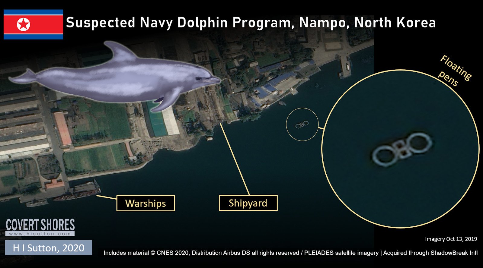 флот, дельфины, ВМФ