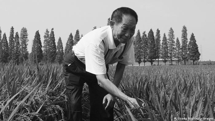рис, гибридный рис, Юань Лунпин, Китай, голод, сельское хозяйство