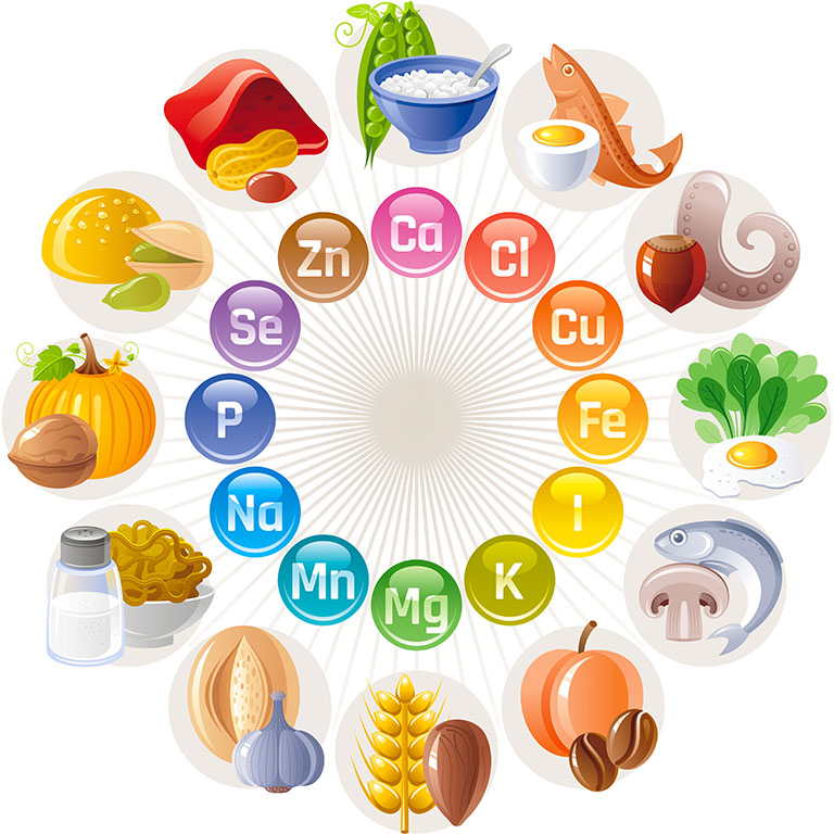 веганская диета, веганы, вегетарианство, дети, веганы-дети, метаболизм, витамины, омега-3   