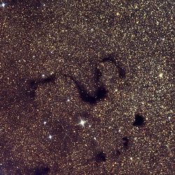 Темная газопылевая туманность с интенсивным звездообразованием - туманность Змея