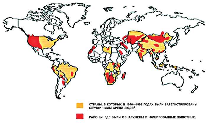 Распространение, чума, земной шар, 1998 год
