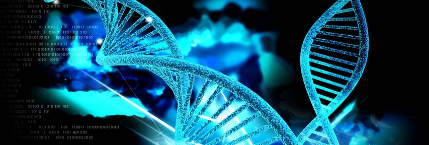 Наследственные мутации возникают при повреждении участков ДНК и ведут к ожидаемым последствиям — неизлечимым, болезненным недугам, угрожающим здоровью и жизни.