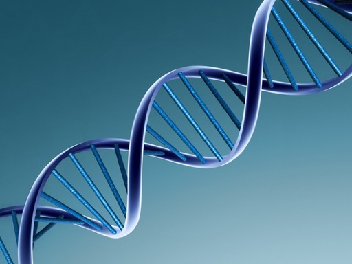 ДНК: расшифровать, нельзя кодировать