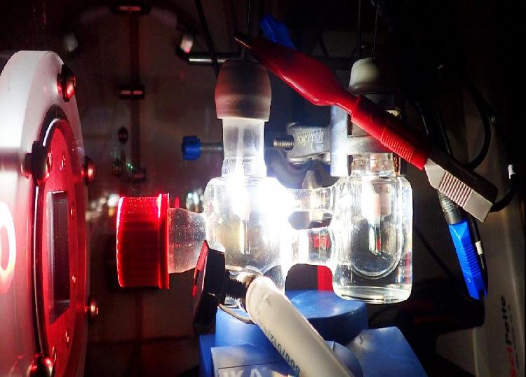 Экспериментальная установка, в которой проводился процесс полу-искусственного фотосинтеза