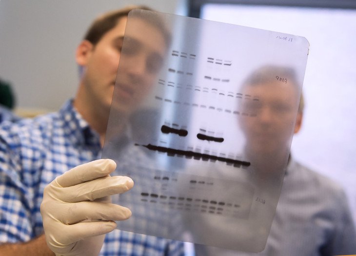 Трой Хаббард (Troy Hubbard), аспирант, занимающийся молекулярной биологией, совместно с доктором Гэри Пердью (Gary Perdew) изучает схему белков, извлеченных из образца