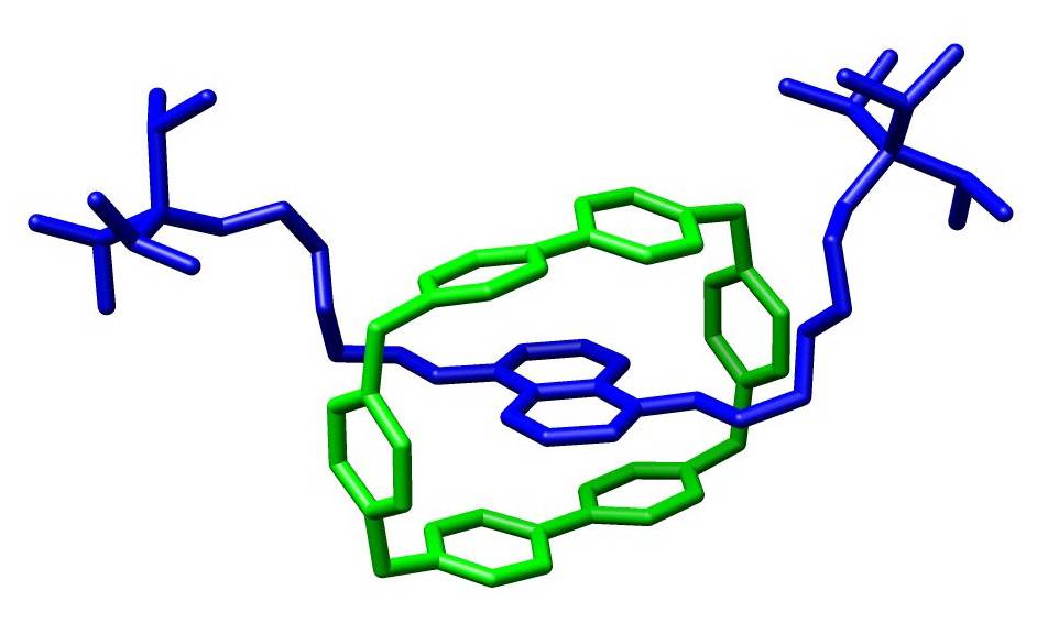 Пример молекулы ротаксана