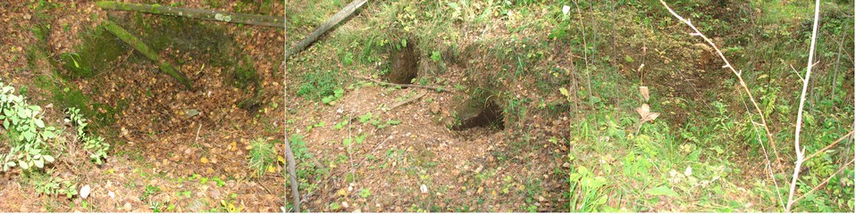 Это снимки Красноболотского месторождения александритов 2009г