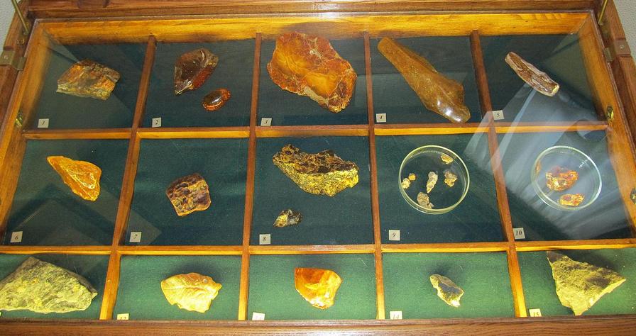 Образцы янтаря из Музея Мирового океана на научно-исследовательском судне «Витязь» в «янтарной» каюте