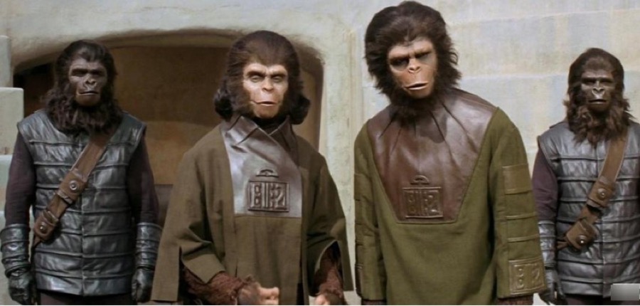 кадры из фильма, обезьяна, планета обезьян, генно-модифицированные обезьяны