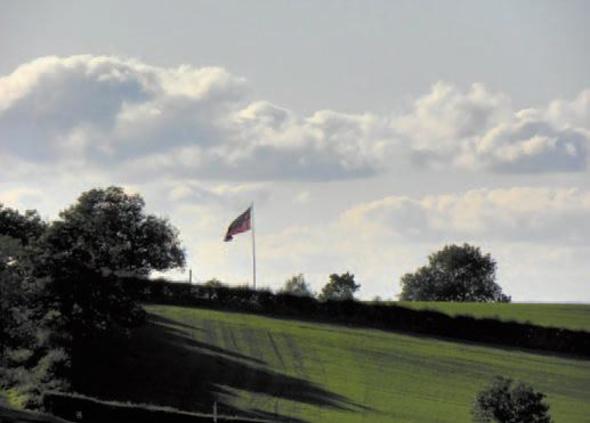 Знамя, Ричард III, холм Амбион
