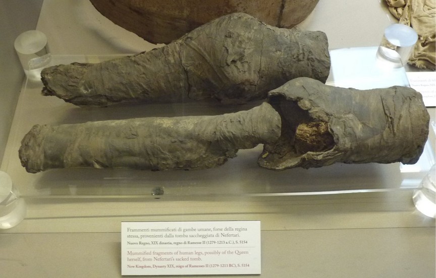 Мумифицированные останки в музее Турина