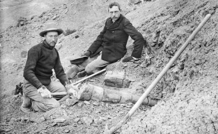 Барнум Браун и Генри Осборн рядом с частично раскопанными окаменелостями Диплодока