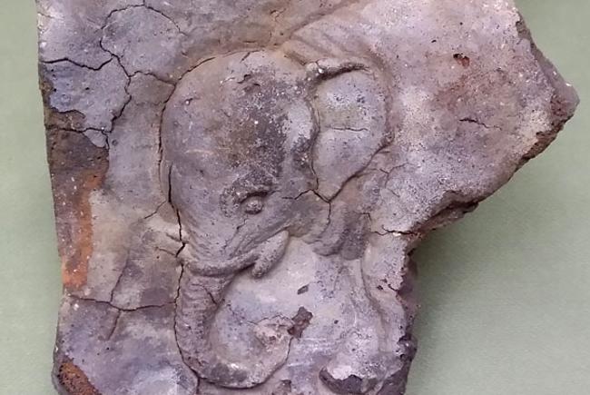 Изразец со слоненком, найденный археологами в Воскресенском Ново-Иерусалимском монастыре