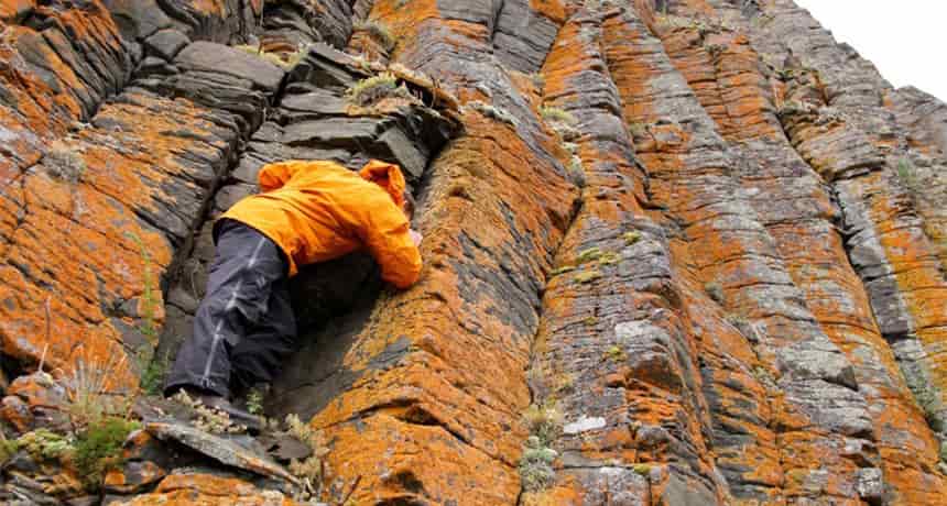Сет Берджесс, представитель Геологической службы США, изучает столбчатое соединение сибирских траппов. Эти массивные колонны, образованные при охлаждении базальтовой лавы, усеяны оранжевым лишайником.