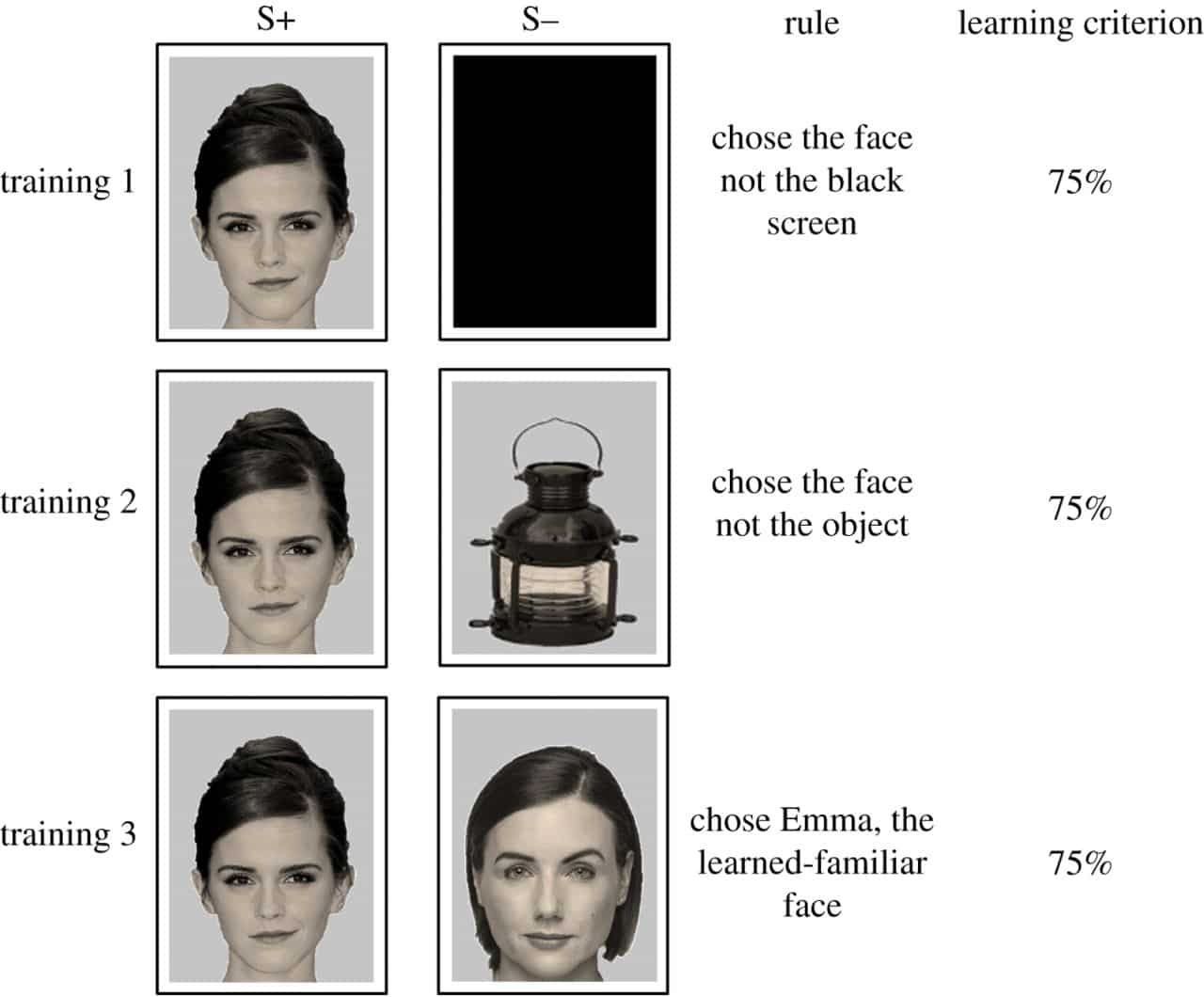 Задание включало три этапа: выбрать фото знаменитости, а не черный экран, не предмет (случайно выбранный из 62 объектов) и не незнакомое лицо (случайно выбранное из 36 людей)