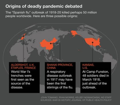 Географическое происхождение гриппа обсуждается по сей день.  Различные гипотезы называют «очагом возгорания» Восточную Азию, Европу и даже Канзас