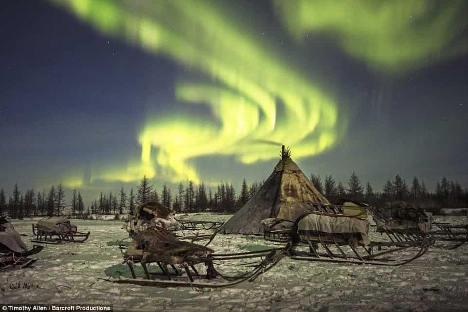 Зрелищное северное сияние освещает ночное небо и лагерь ненцев
