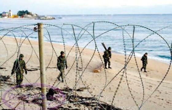 южнокорейские солдаты, патруль, защитный забор, демилитаризованная зона