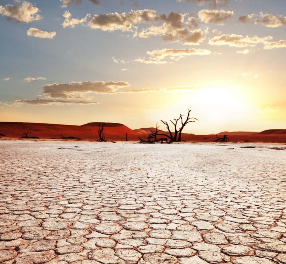 Засуха, пустыня, катастрофа