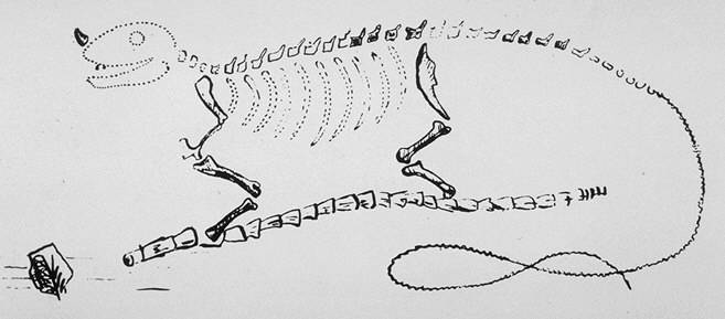 Реконструкция Г. Мантелла — первая в истории попытка реконструкции динозавра